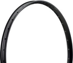 EASTON ARC 25 Offset 28" Disc Felge