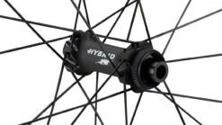 Dt-swiss HEC 1400 SPLINE 47 Carbon Boost Disc CL Hybrid 28" Laufradsatz -Fahrradzubehör 437026